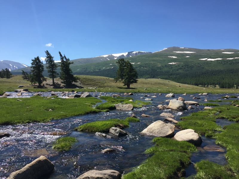 turgen