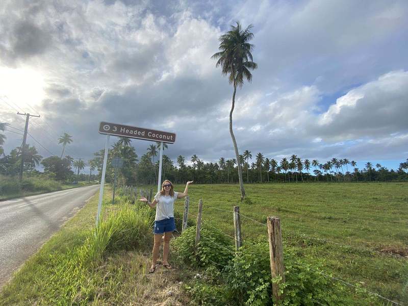 tonga coconut