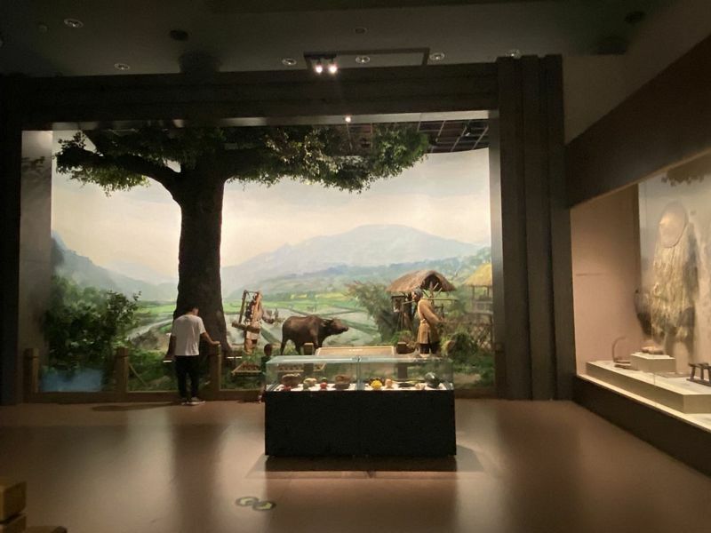 China Agricultural Museum